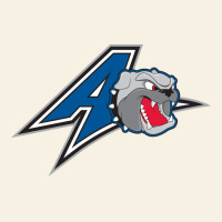Unc Asheville Bulldogs Vintage Tee | Teevron