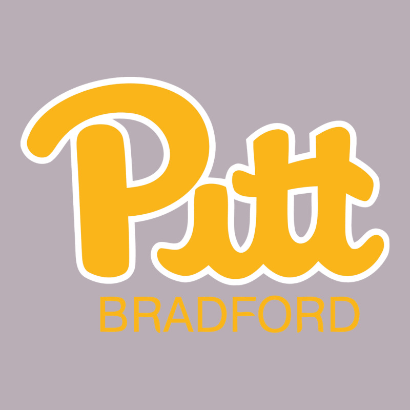 Pitt Bradford, University Of Pittsburgh At Bradford, Vintage Tee by linhVisuals | Teevron