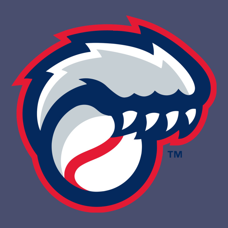 New Hampshire Fisher Cats Vintage Tee by linhVisuals | Teevron