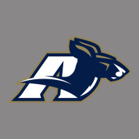 Akron University Zips Vintage Tee | Teevron