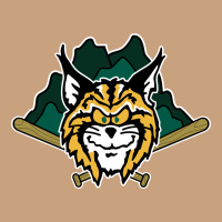 Lynchburg Hillcats Baseball Vintage Tee | Teevron
