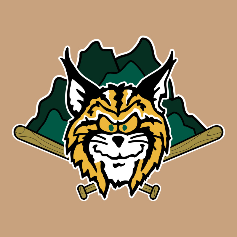 Lynchburg Hillcats Baseball Vintage Tee by linhVisuals | Teevron