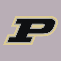 Purdue Boilermakers Vintage Tee | Teevron