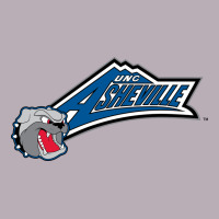 Unc Asheville Bulldogs Vintage Tee | Teevron