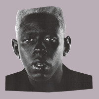 Vote Igor 'tyler 'the 'creator Vintage Tee | Teevron
