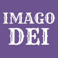 Imago Dei Image Of God Christian T Shirt Reformed Jesus Vintage Tee | Teevron