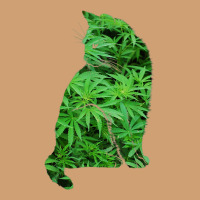 Funny Cannabis & Cat Lover Marijuana Weed Smoker Art T Shirt Vintage Tee | Teevron
