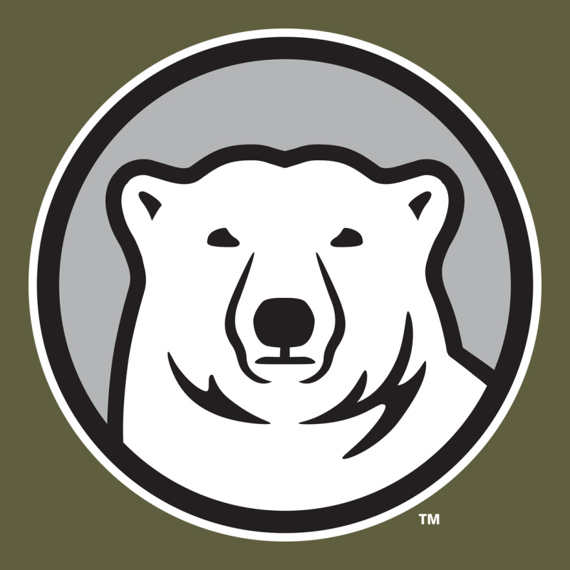 Bowdoin College Vintage Tee by linhVisuals | Teevron