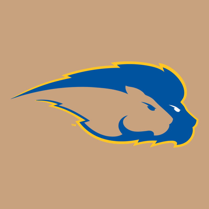 Hofstra Pride Vintage Tee by linhVisuals | Teevron