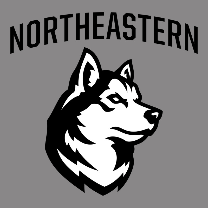 Northeastern Huskies Vintage Tee by linhVisuals | Teevron