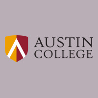 Austin, College Vintage Tee | Teevron