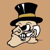 Wake Forest Demon Deacons Vintage Tee | Teevron