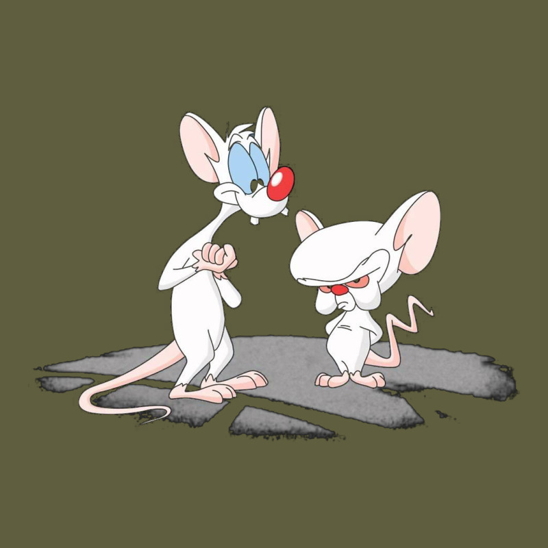 Newanimaniacs Pinky And The Brain Vintage Tee by linhVisuals | Teevron