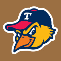 Toledo-mud-hens Vintage Tee | Teevron