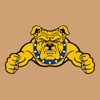 North Carolina A&t Aggies Vintage Tee | Teevron