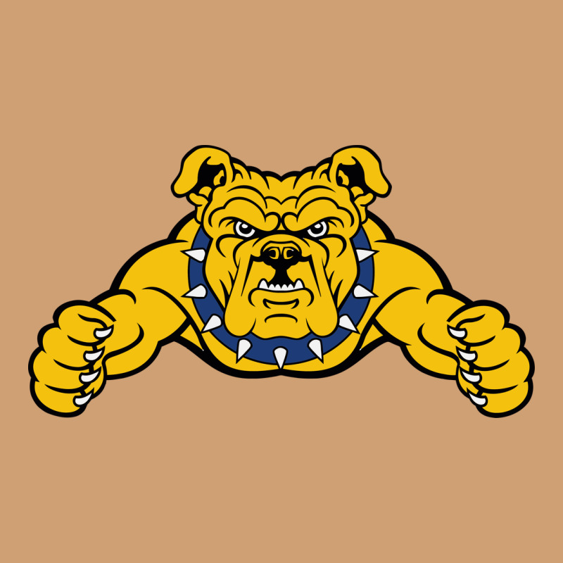 North Carolina A&t Aggies Vintage Tee by linhVisuals | Teevron