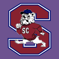 South Carolina State Bulldogs Vintage Tee | Teevron