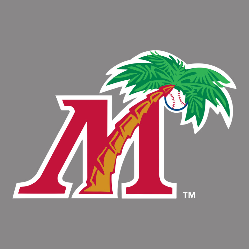 Fort Myers Miracle Vintage Tee by linhVisuals | Teevron