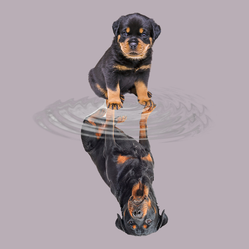 Rottweiler Reflection T Shirt Funny Father's Day Dog Gifts Vintage Tee by linhVisuals | Teevron