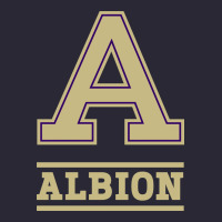 Albion College Athleticpurple Vintage Tee | Teevron