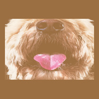 Labradoodle T  Shirtfunny Labradoodle Face Mask Funny Dog Mouth T  Shi Vintage Tee | Teevron