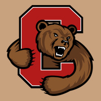 Cornell Vintage Tee | Teevron