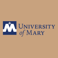 University Of Mary, Apparel Vintage Tee | Teevron