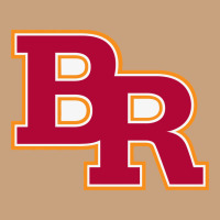 Brother Rice High School 3 Vintage Tee | Teevron