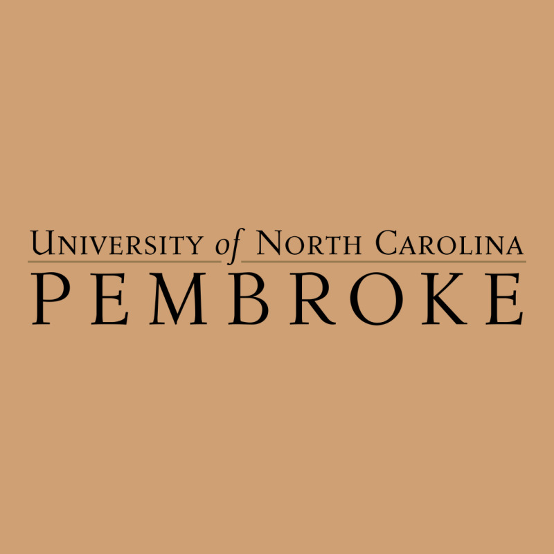 University Of North Carolin Pembroke Vintage Tee by linhVisuals | Teevron
