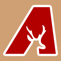 Avonworth High School Vintage Tee | Teevron