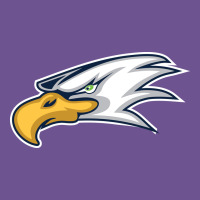 Eagle High School Vintage Tee | Teevron