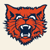 Evanston Township High School Vintage Tee | Teevron