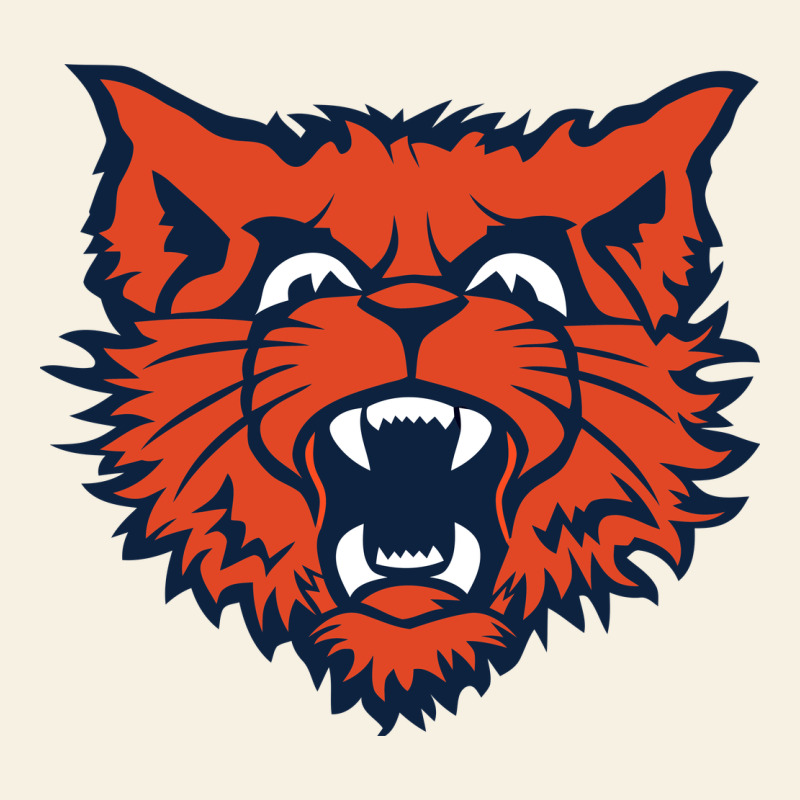 Evanston Township High School Vintage Tee by linhVisuals | Teevron