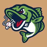 Gwinnett Stripers Vintage Tee | Teevron