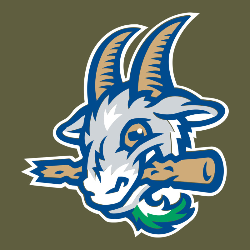 Hartford-yard-goats Vintage Tee by linhVisuals | Teevron