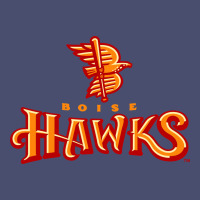 The-boise-hawks-fan Vintage Tee | Teevron