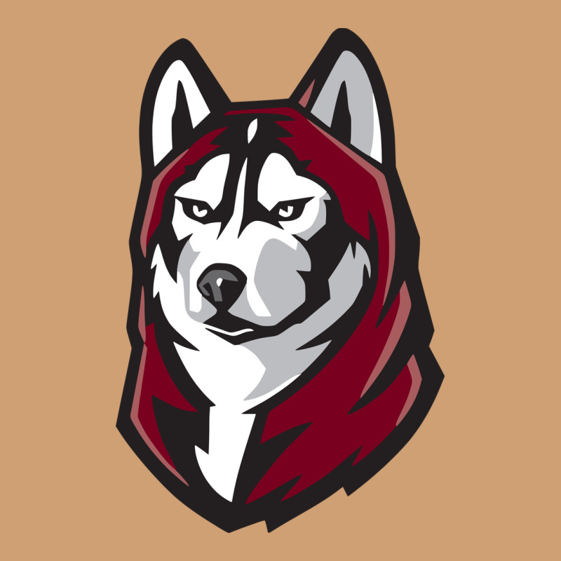 Bloomsburg Huskies Vintage Tee by linhVisuals | Teevron