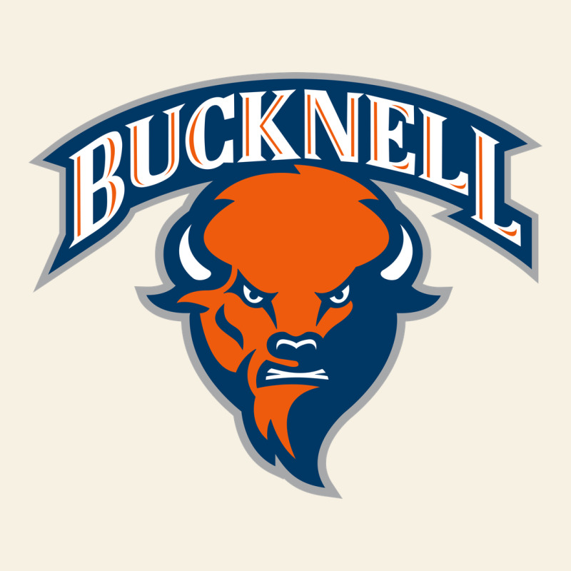Bucknell Vintage Tee by linhVisuals | Teevron
