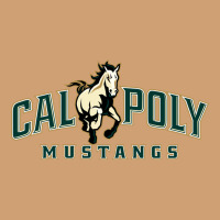 Cal Poly Vintage Tee | Teevron
