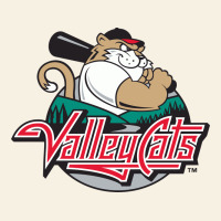 This-tri-city-valleycats-merch Vintage Tee | Teevron