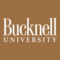 Bucknell University Vintage Tee | Teevron