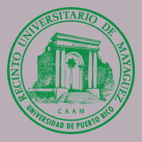 University Of Puerto Rico Mayagüez Vintage Tee | Teevron