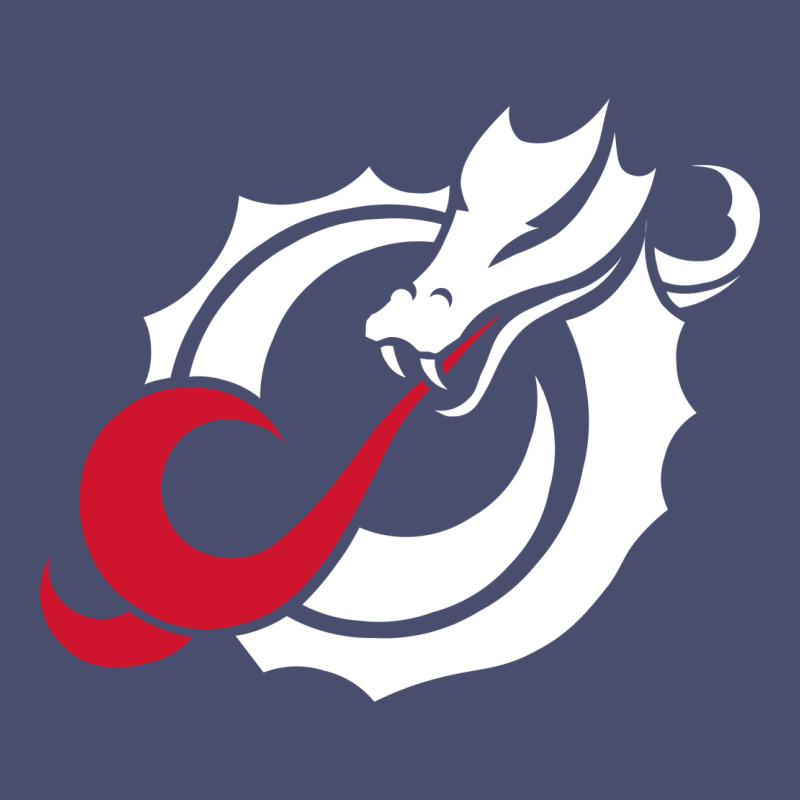 Msum Dragons, Gear Vintage Tee by linhVisuals | Teevron