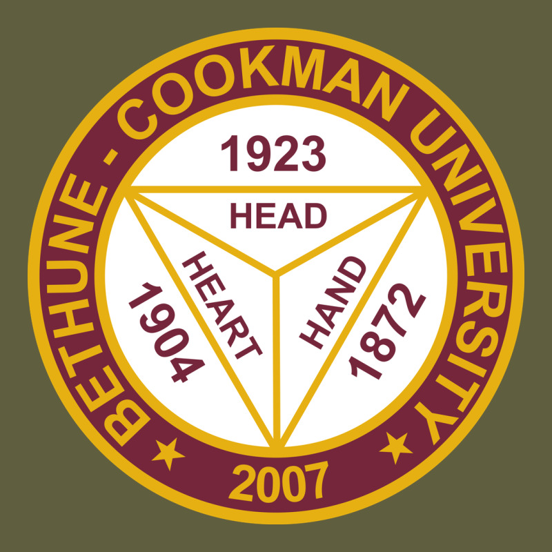 The-bethune–cookman-university-merch Vintage Tee by linhVisuals | Teevron