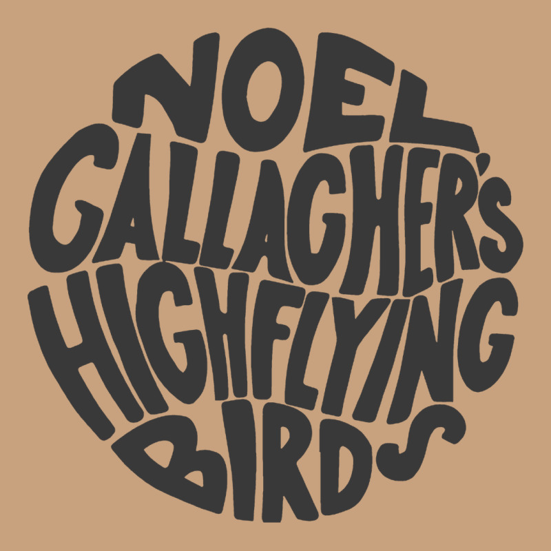Noel Gallagher's High Flying Birds Classic Vintage Tee by linhVisuals | Teevron