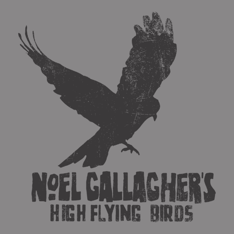 Noel Gallagher's High Flying Birds Classic Vintage Tee by linhVisuals | Teevron