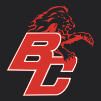 Boyd County High School Baseball Vintage Tee | Teevron