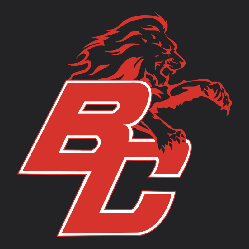 Boyd County High School Baseball Vintage Tee by linhVisuals | Teevron