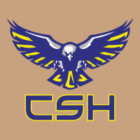 Cold Springs High School Vintage Tee | Teevron