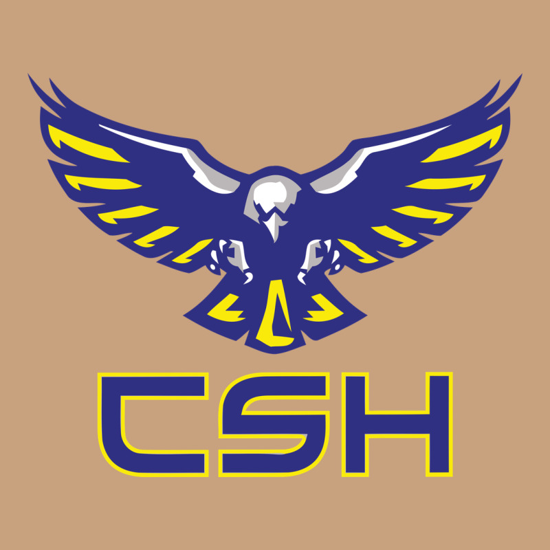 Cold Springs High School Vintage Tee by linhVisuals | Teevron